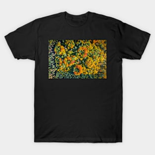 Aerial top down view of vibrant colorful autumn forest T-Shirt